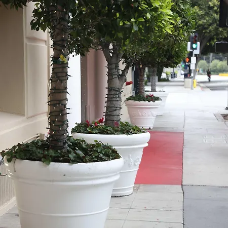 Hotel Carmel Santa Monica-3